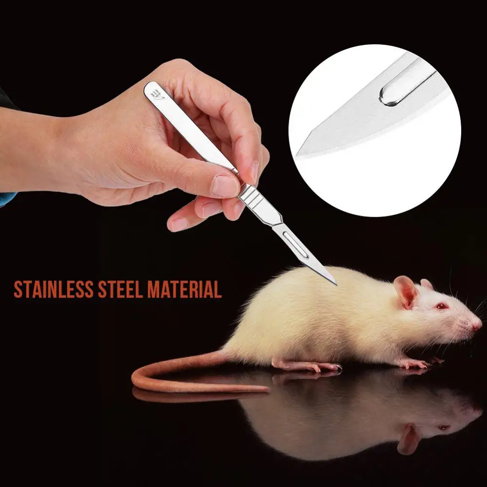 7 шт. набор для рассечения из нержавеющей стали 2024