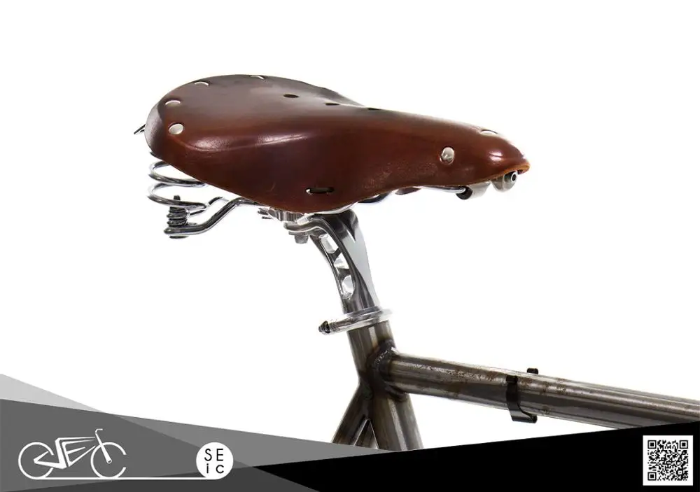 Vintage city motor ebike with classic Zehus all in one for electrical bicycle riders