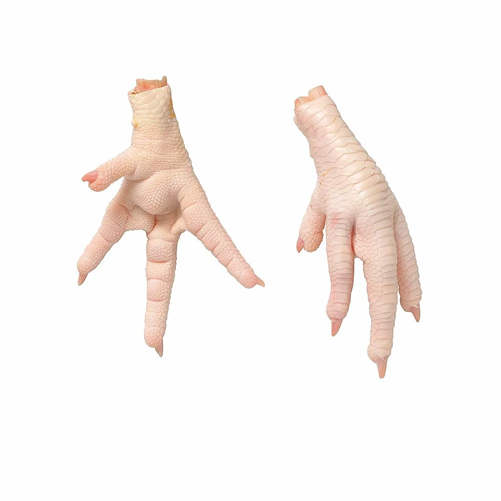 Frozen Chicken Thighs / Feet / Paws / Drumsticks Prices