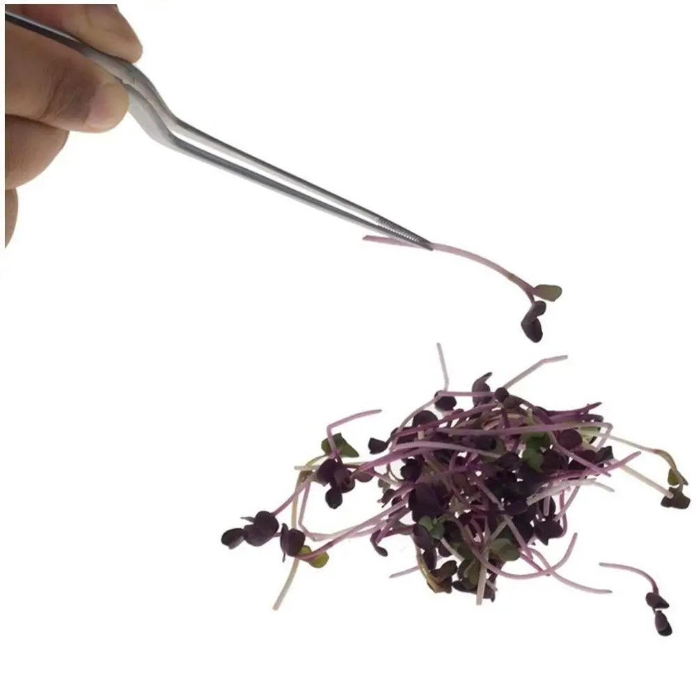 
Culinary Tweezer, Stainless Steel Precision Tongs with Offset Fine Tip 