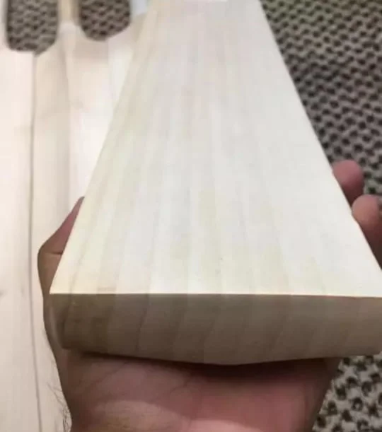 Factory Price Cricket bat