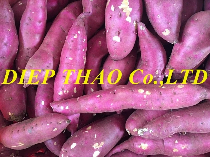 FRESH JAPANESE SWEET POTATO