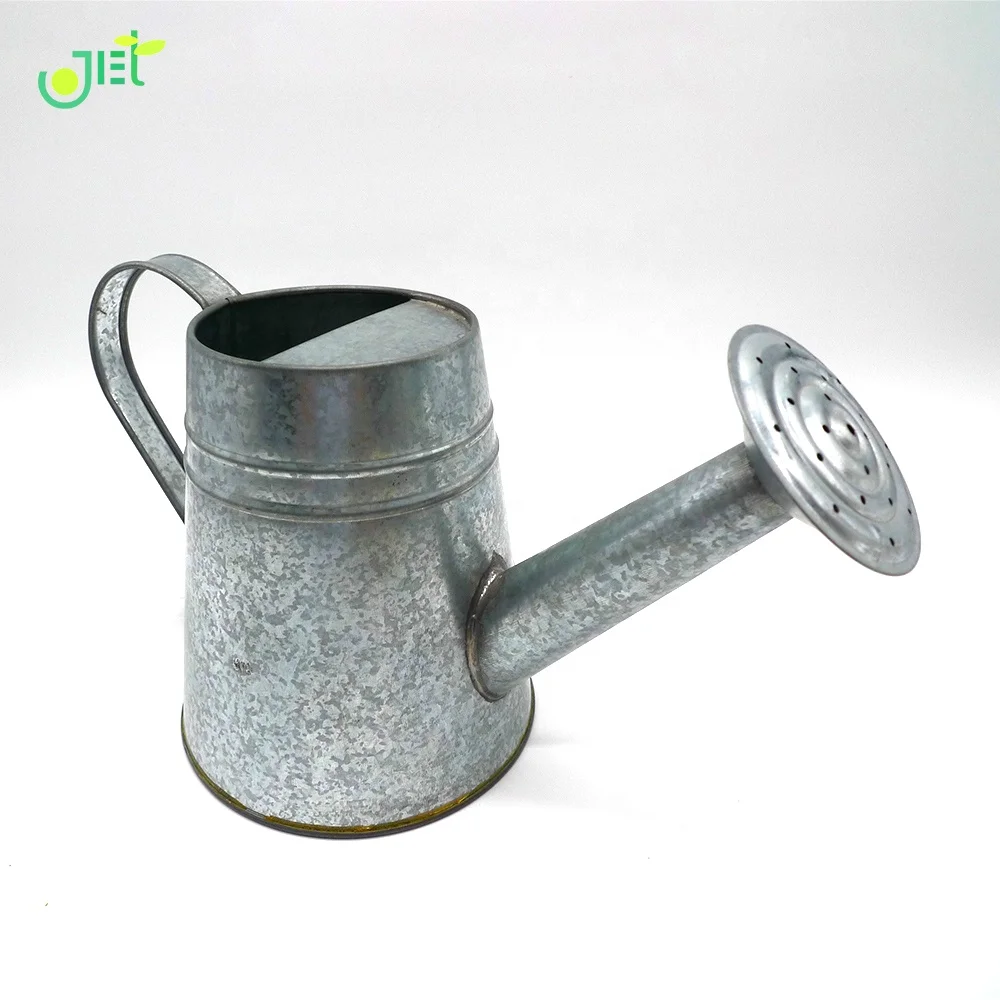 
With Top and Side Handle Galvanized Watering Can 