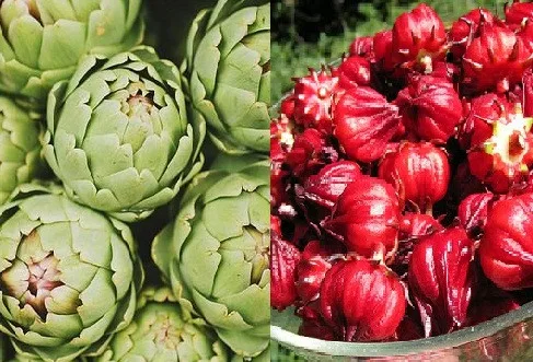 VIETNAM WHOLESALE DRIED ARTICHOKE/DRIED ARTICHOKE FOR TEA (WHATSAPP 84 845 639 639)