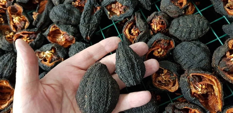 Сушеный морской огурец