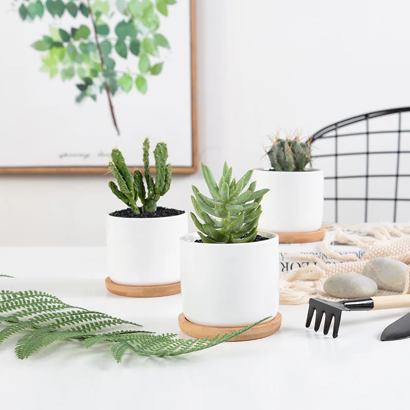 APHACATOP Succulent cheap Plant Pots Flower Pots with Drainage Hole, Bamboo Tray SUCCULENT POTS