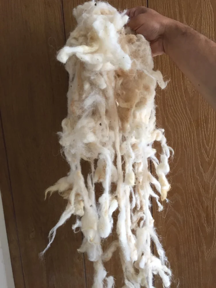Raw Wool/ Wool Fiber