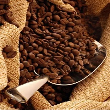 100% Best Quality Arabica / Robusta Coffee Beans (Good Price)