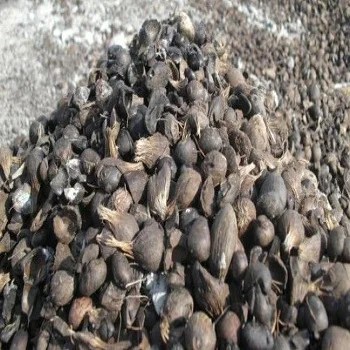 
Pure and Natural Palm Kernel Shell(PKS)/Coconut Shell/Palm Kernel 