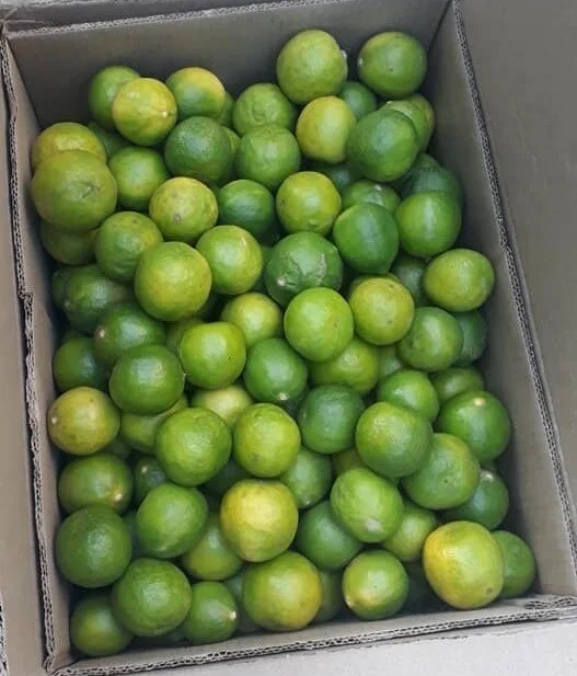 Fresh Lime/Fresh Lemon/Fresh Fruits!