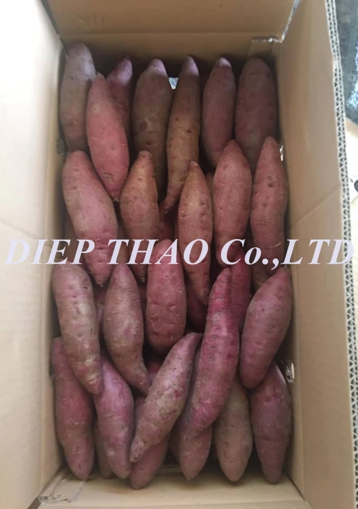 FRESH JAPANESE SWEET POTATO