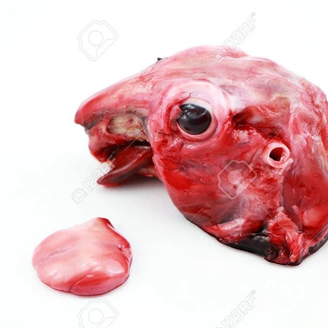 
Natural Dog Snacks Pet Treats Rabbit Stripes Dog Snacks 