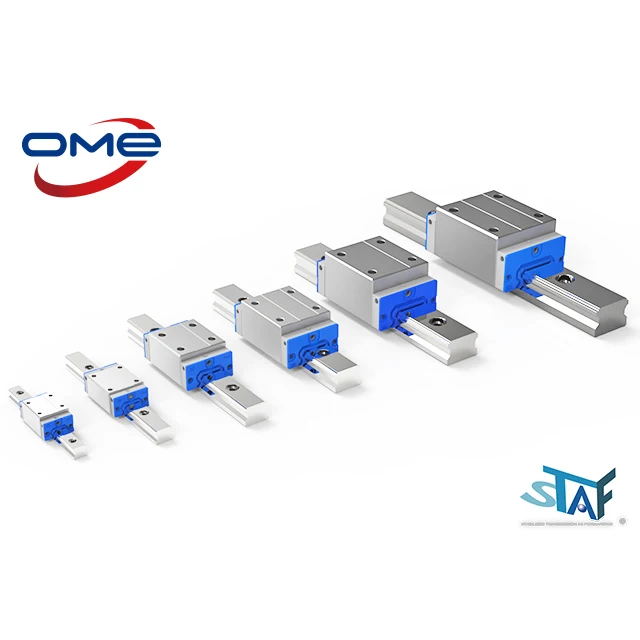 
STAF BGXH45FN BGXH45BN Customized Heavy Load Profile Rail guideways 