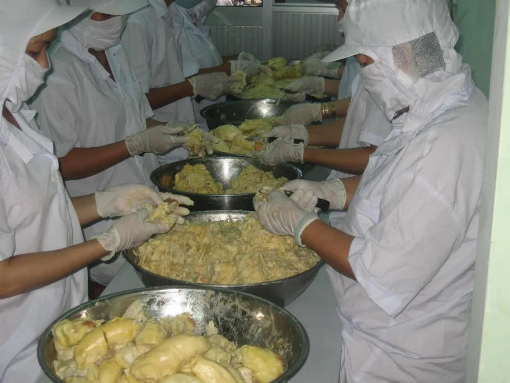  IQF Frozen Ri6 Durian Pulp Puree Good Quality - Product of Vietnam