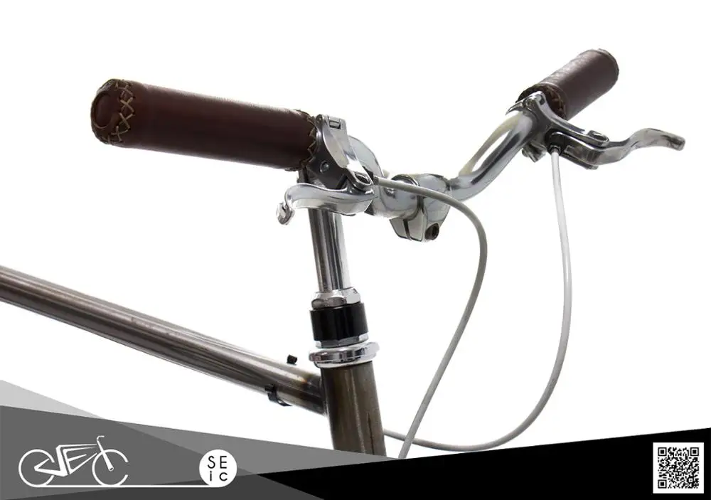 Vintage city motor ebike with classic Zehus all in one for electrical bicycle riders