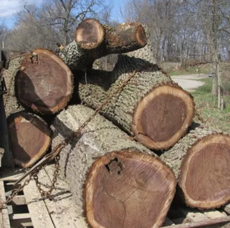 
Hard Wood Sapelli / Bubinga / Tali / Iroko / Doussie / for sale 