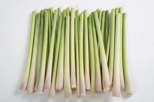 VIET NAM FROZEN LEMONGRASS