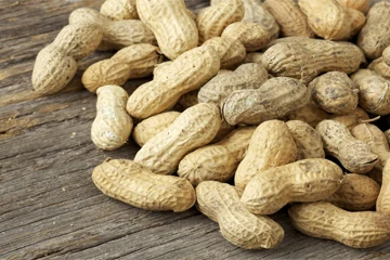 cheap High Quality Wholesale Price Peanuts Supplier for export at cheap prices