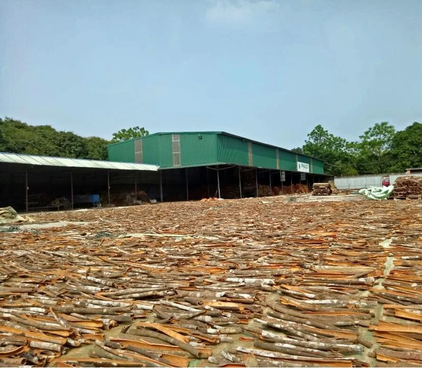 40 кг, 20 кг или большой мешок, гранулы для рисовой шелухи/гранулы из асазии/гранулы для рисовой шелухи 40-50 мм, Лидер продаж