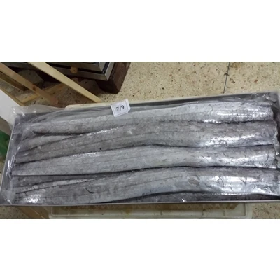 
Frozen Ribbon Fish - HGT Ribbon Fish - China Shipment 