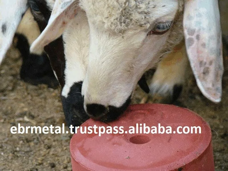 SALT BLOCK LICKING STONE  PRESS