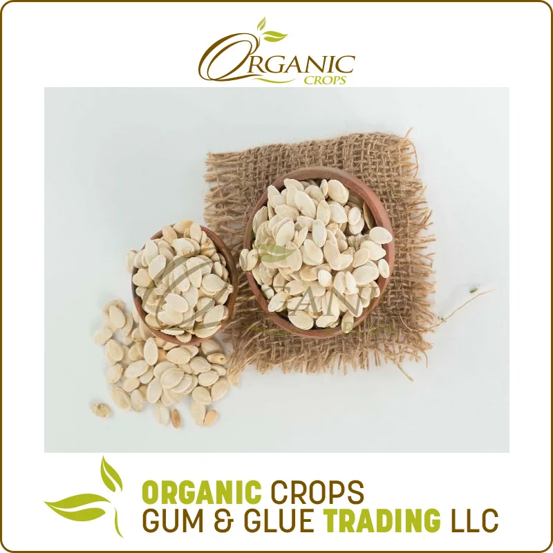 
Factory Direct Supply Sudan Watermelon Seeds at Market Price 