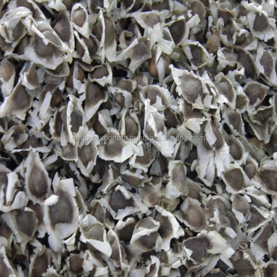 Moringa семена для