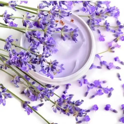 Wholesale Price Top Quality Undiluted 100% Pure Lavender Essential oil