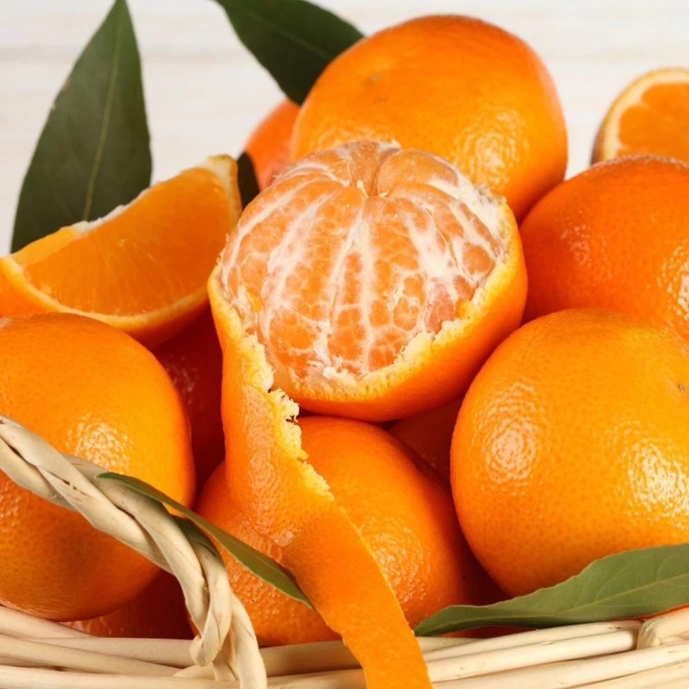 Basic Price With 100% Excellent Quality Bitter Orange Essential Oil