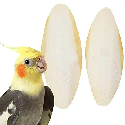 Вьетнамская рыболовная косточка, косточка, косточка кальмара, европейский рынок (WS: 0084987731263)