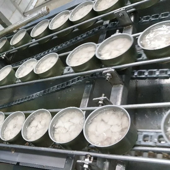 Solid 200g canned tuna