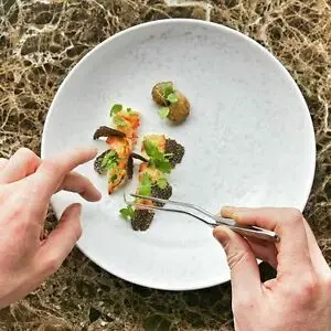 
Culinary Tweezer, Stainless Steel Precision Tongs with Offset Fine Tip 