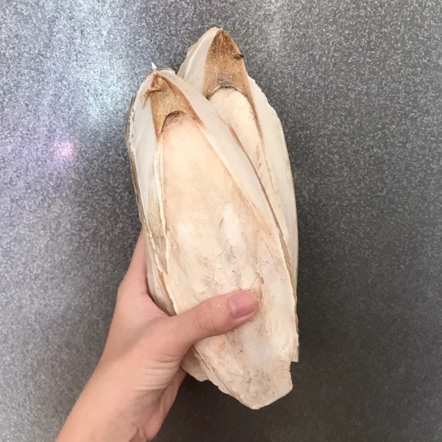 DRIED CUTTLEFISH BONE WITH MANY SIZES FROM VIETNAM / Ms.Thi Nguyen +84 988 872 713
