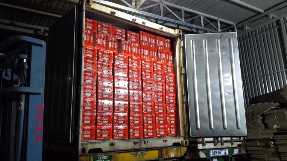 FRESH DRAGON FRUIT/PITAYA WITH THE COMPETITIVE PRICE / WHATSAPP: +84-979558557