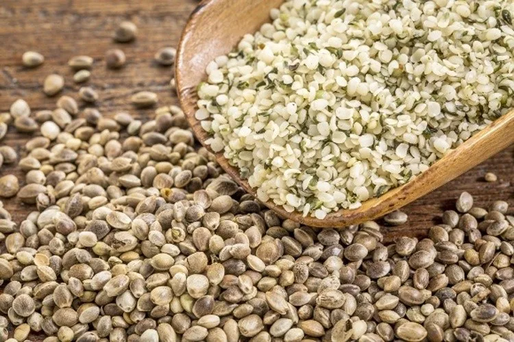 
Hemp Seeds,High quality Hemp Seeds For Sale,Hemp Seeds of best quality 