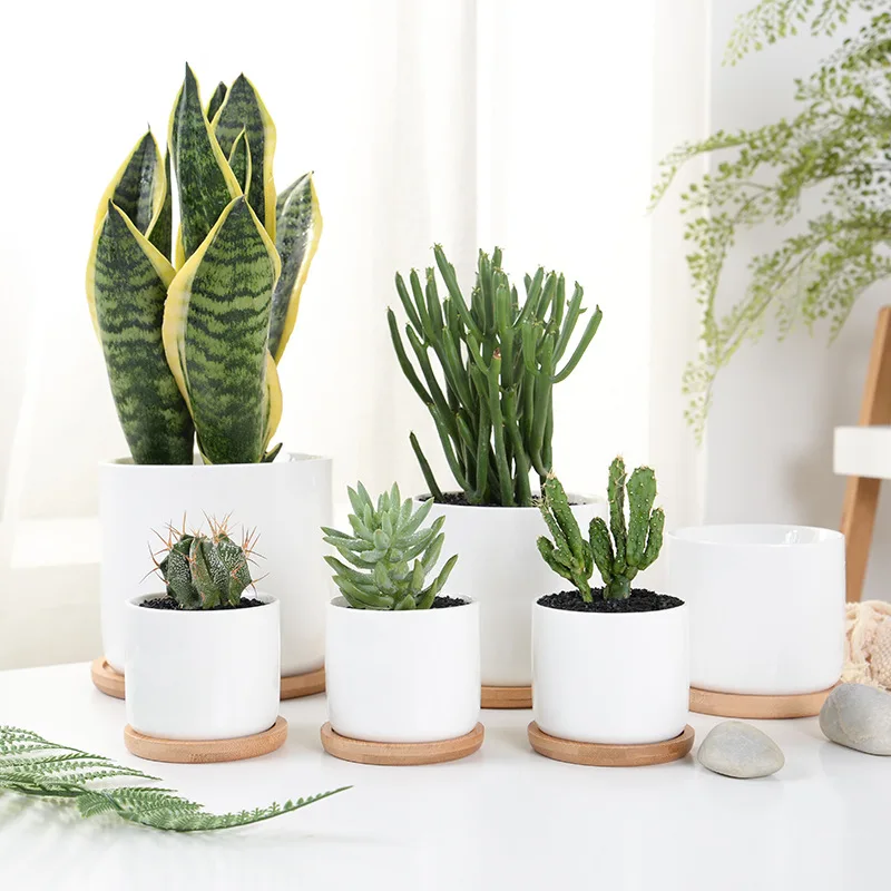 APHACATOP Succulent cheap Plant Pots Flower Pots with Drainage Hole, Bamboo Tray SUCCULENT POTS