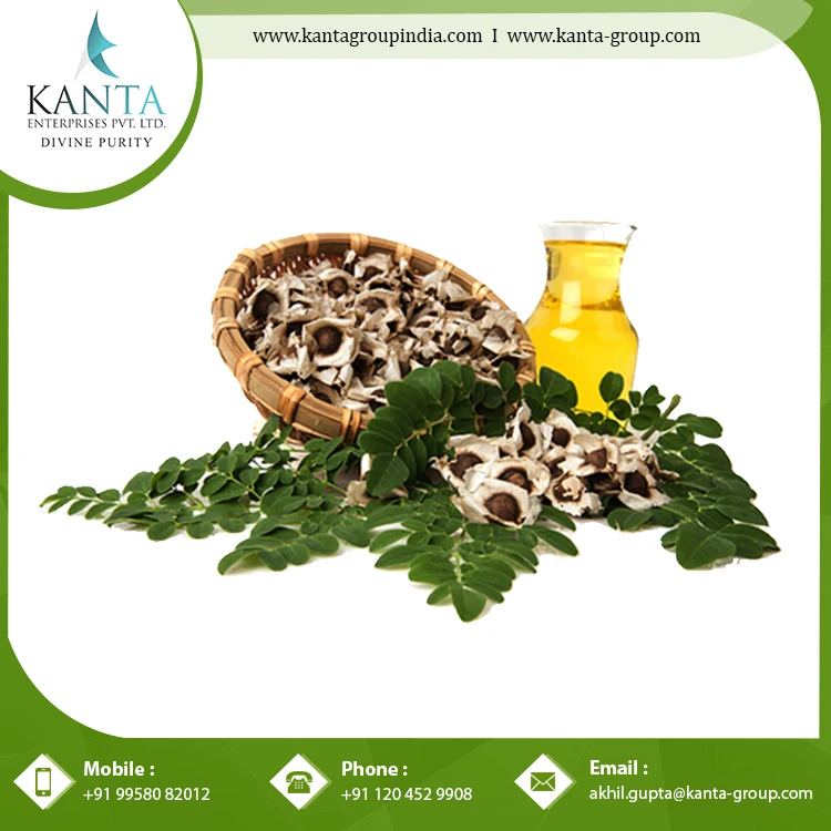 Supplier of 100% Natural and Organic Moringa Oil / Moringa Essential Oil Used as Ayurvedic Medicine at Best  Rate