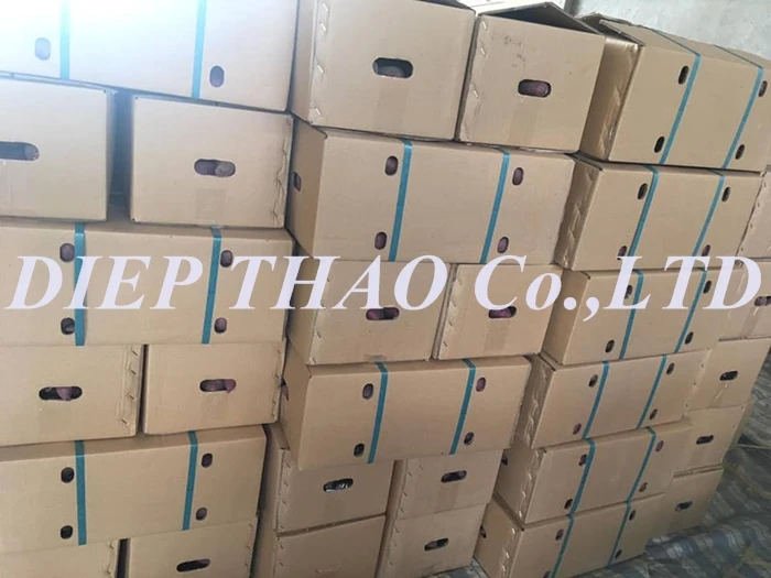 FRESH JAPANESE SWEET POTATOES /FRESH KUMARA FROM VIETNAM