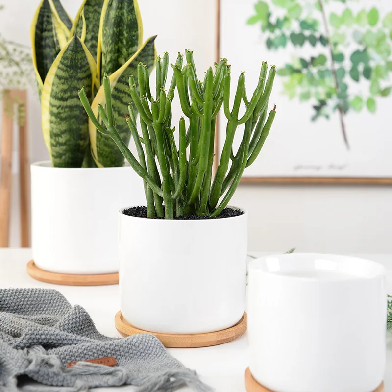 APHACATOP Succulent cheap Plant Pots Flower Pots with Drainage Hole, Bamboo Tray SUCCULENT POTS