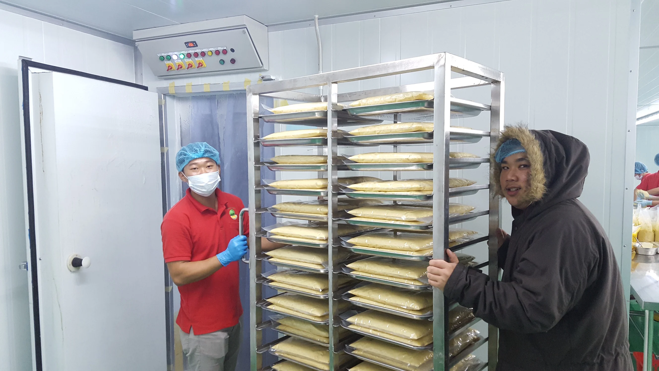 Malaysia Premium Frozen Musang King and D24 Durian Paste Seedless