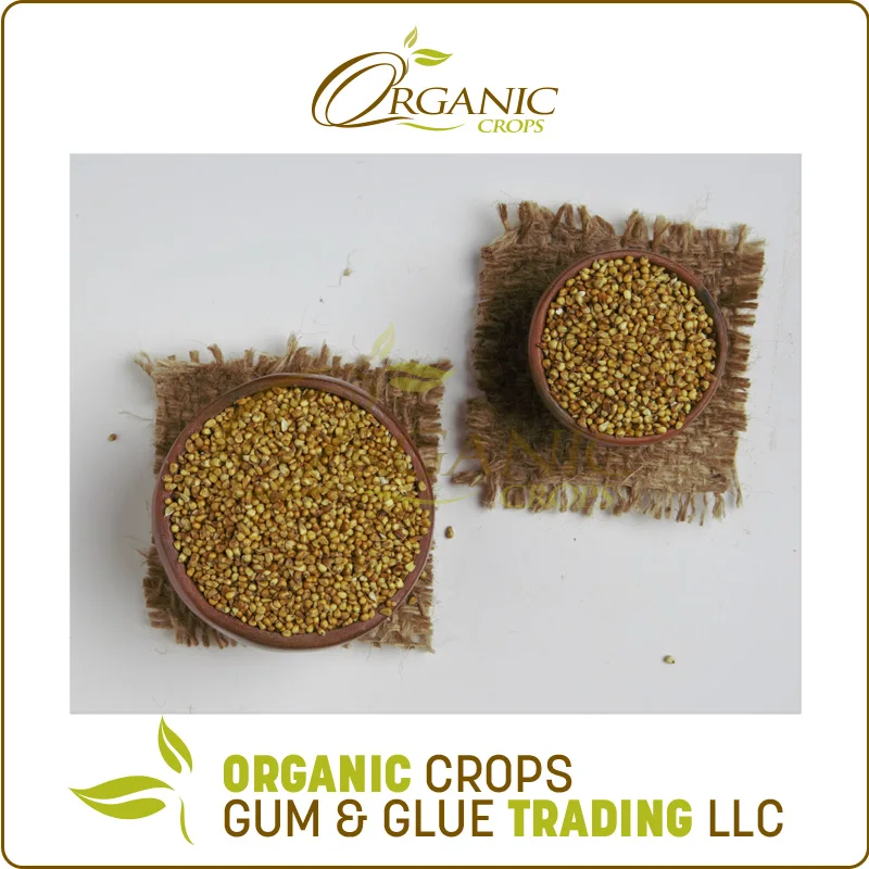 Competitive Price Sudan Millet