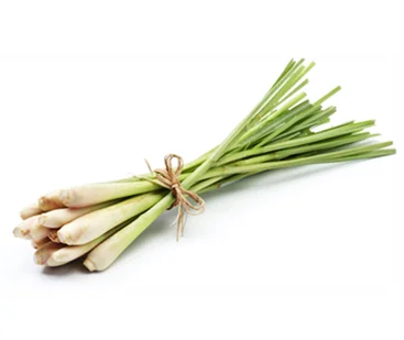 VIET NAM FROZEN LEMONGRASS