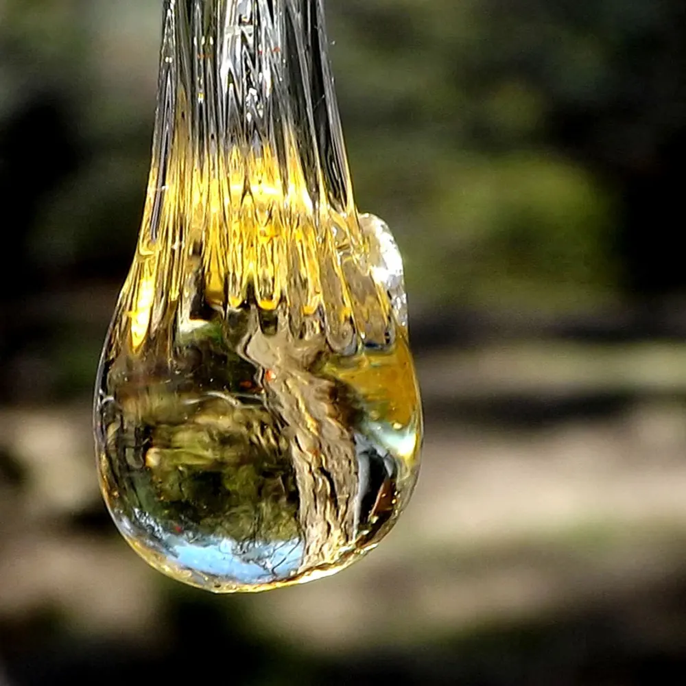 Chinese Supplier of 100% Pure Elemi Essential Oil with Food Grade