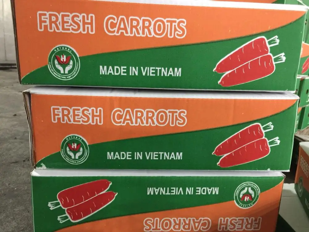 
HIGH QUALITY CARROT VIETNAM FOR EXPORT WITH CHEAP PRICE - WHATSAPP : +84937902846 