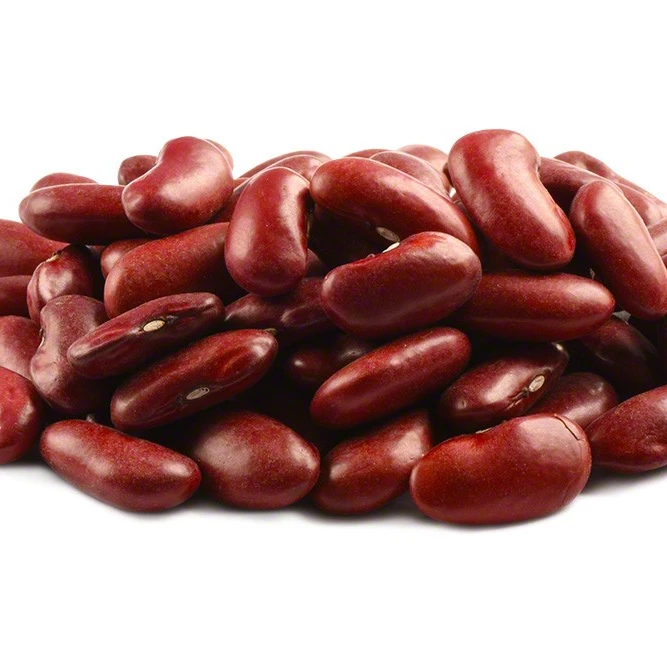 
High Quality Bulk Dried Red Kidney Beans for Sale 