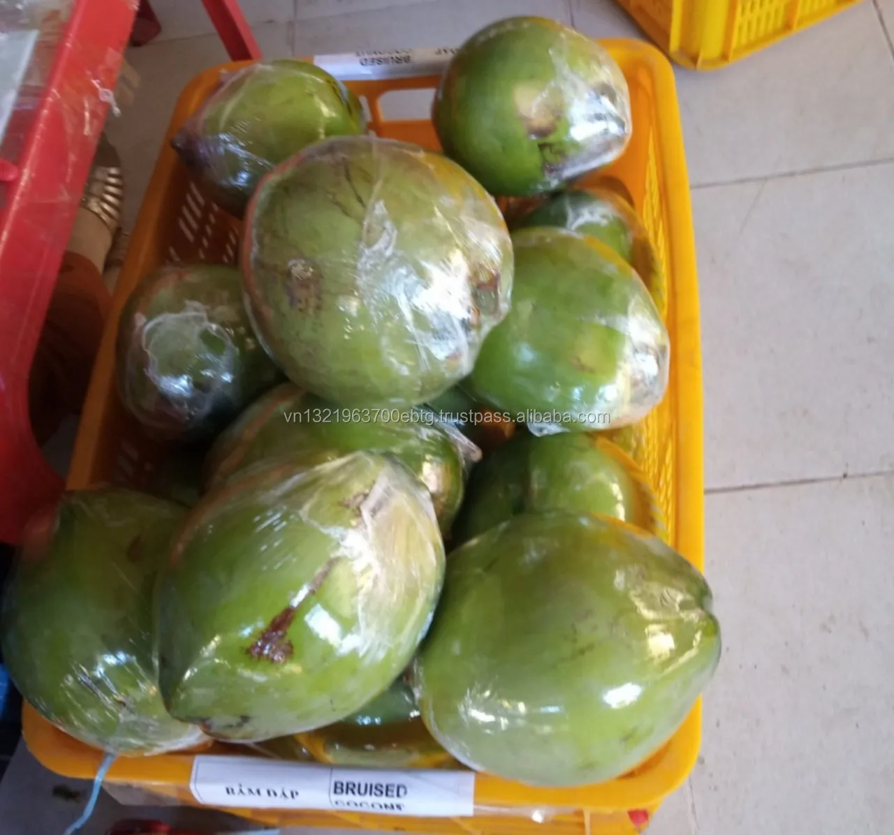 
Cheap price for Easy Open Coconut/ Fresh Young Coconut/High Quality for Coconut from Vietnam season 2019 