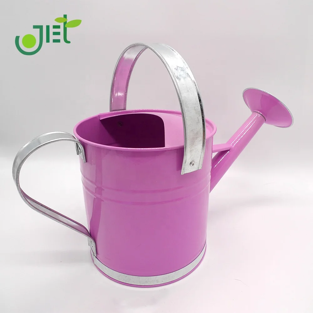 
With Galvanized handle on top and side Metal Watering can 