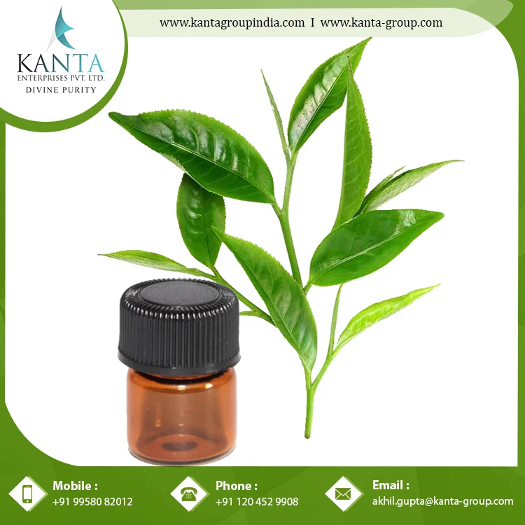 Pure Anti-Fungal Tea Tree Essential Oil helpful germ Killing Herbal Medicine at Cheap Wholesale Rate
