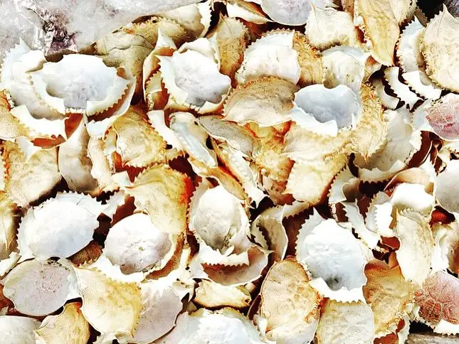
DRIED BEAUTIFUL CRAB SHELL/VIETSEAFARM/VIETNAM 