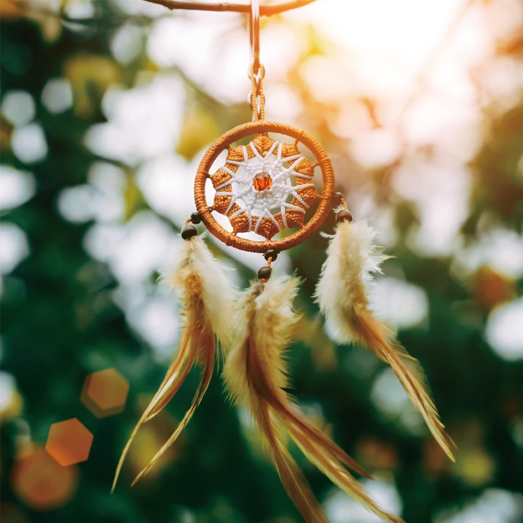 
Metal Ring Dreamcatcher 